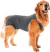 Roupa Cirúrgica de Lycra para Cães - Master Pet