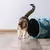 Brinquedos de Pelúcia para Gatos - Conjunto 2 Bolinhas Fluffy - Mimo - comprar online