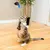 Brinquedo para Gatos Varinha Ratinho - Mimo - comprar online