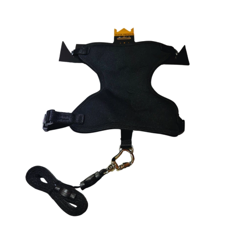 Colete H com Guia - Preto - Cindy