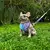 Colete H com Guia - Super Cão - Cindy - Joca Petshop