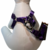 Peitoral Americano com Guia - Roxo - Cindy - comprar online