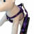 Peitoral Americano com Guia - Roxo - Cindy - Joca Petshop