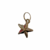 Pingente Pet - Estrela Bold