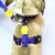 Peitoral H com Guia - Primavera - Cindy - Joca Petshop