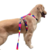 Peitoral H com Guia - Camuflado - Cindy - Joca Petshop