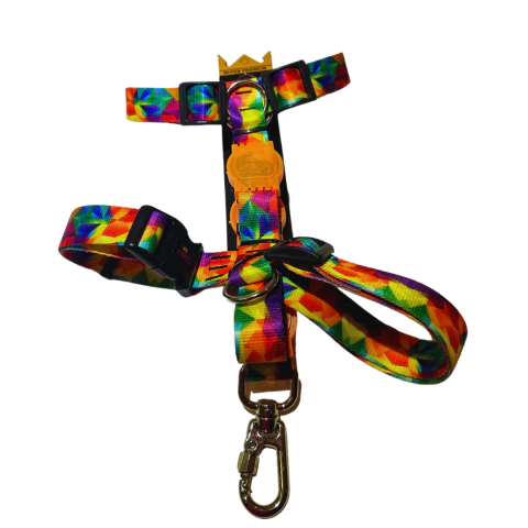 Peitoral H com Guia - Multicolors - Cindy