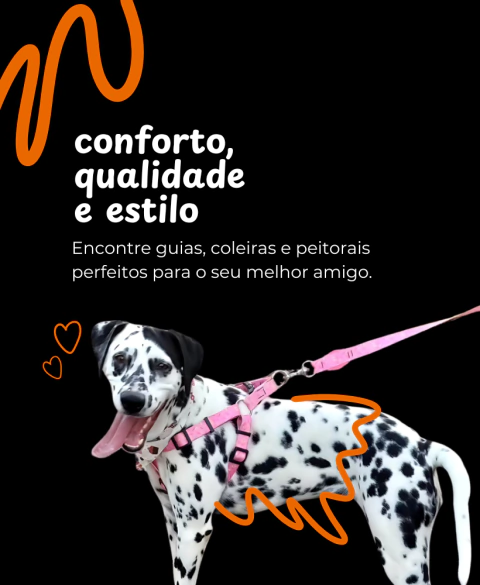 Carrossel 1