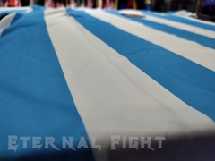 CAMISETA FUTBOL RETRO PREMIUM AFA 1986