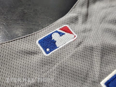 Imagen de CAMISETA MLB CHICAGO CUBS GRIS N°17