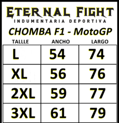 CHOMBA OFICIAL MotoGP DUCATI - comprar online