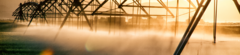 Banner da categoria IRRIGAÇÃO 
