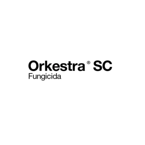 Orkestra SC - 1 Litro - comprar online