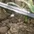 mangueira de segurança por gotejamento agrícola única lâmina t 50m 100m 16mm - Market Rural