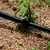 mangueira de segurança por gotejamento agrícola única lâmina t 50m 100m 16mm - comprar online