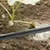 mangueira de segurança por gotejamento agrícola única lâmina t 50m 100m 16mm - comprar online