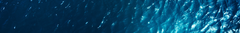 Banner de la categoría Ofertas 