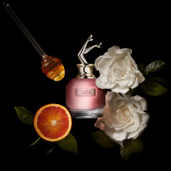 Scandal Jean Paul Gaultier Eau de Parfum - Perfume Feminino