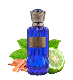 Perfume Arabe Kenz Al Malik EDP 100ml Masculino na internet