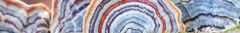 Banner de la categoría Mix tinturas