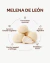 KIT ESCENCIA - MELENA DE LEON + TREMELLA - comprar online
