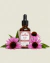 EQUINÁCEA - Doble extracto