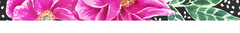 Banner da categoria Luzes de Bogotá