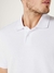 Camisa Polo Básica Masculina Hering - comprar online