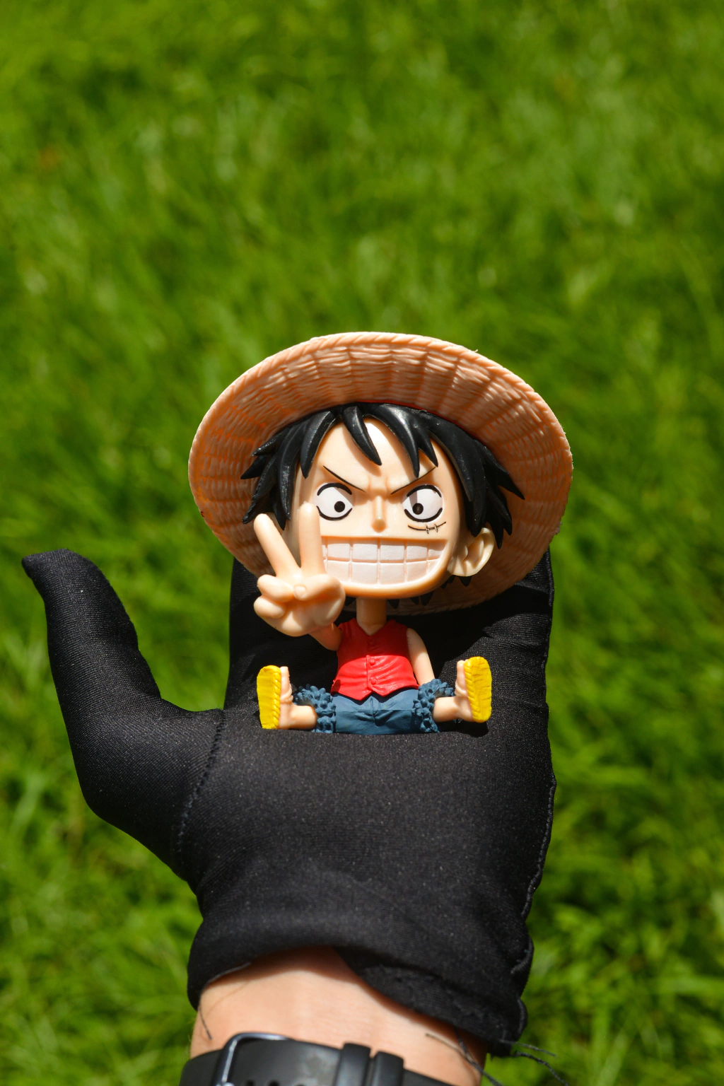 Luffy: O Rei dos Piratas - Figura Colecionável de 10cm