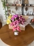 Flores no Pote P - Rosa de Castela