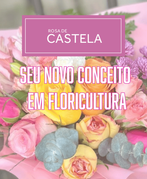 Carrossel 1