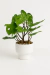 Planta Artificial Hojas