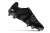 Adidas Predator Accelerator FG Eternal Class na internet