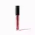 Diamond Glow Lip Gloss en internet