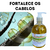 Kit de Óleos Naturais para Cuidado Completo 500ml - 5 em 1 - Babosa, Rícino, Rosa mosqueta, Ojon e Cera de abelha 500g - 21 Química