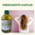 Óleo De Abacate 500ml 100% Puro Cicatrizante/hidratante + Válvula - 21 Química