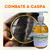 Kit Poderoso Trio para Cabelos Saudáveis: Rícino, Alecrim 500ml e Coco 100ml - loja online