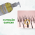 Imagem do Óleo De Amêndoas 500ml Puro Multiuso Beleza E Cuidados Pessoais + Válvula