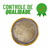Kit Poderoso Trio para Cabelos Saudáveis: Rícino, Alecrim 1 Litro e Coco 200ml - 21 Química