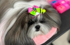 Banner da categoria LAÇOS 