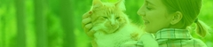 Banner da categoria Óleos Cicatrizantes