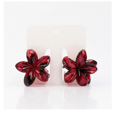 BROCHES SET X 2 (BV0237)