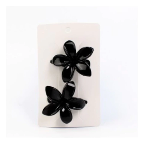 SET HEBILLAS X 2 (BV0240)