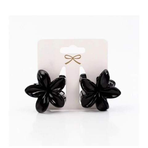 BROCHES SET X 2 (BV0236)