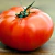 Extrato De Tomate Elefante Tradicional Tp 535g - loja online