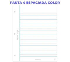 Repuesto carpeta N3 (3 agujeros) en internet