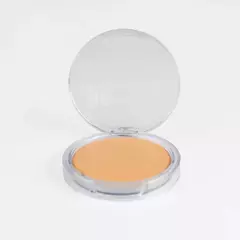 Pro Cream Protetor Solar Multifuncional FPS96 FPUVA43 14g - PRO10 | Pink Cheeks - comprar online