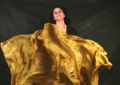 Véu Em Seda Pura Pintado à Mão - Dourado