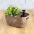 Canasto Plástico Calado 13.5cm - tienda online
