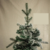 Arbol de Navidad Nevado 1.50Mts - ZOOM